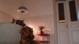 mia_elfie 2025-04-12