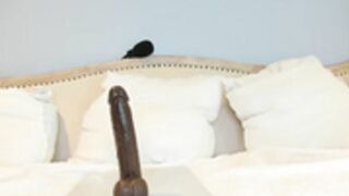 eatmygingersnapps 22