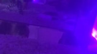 Cyprus - twerksum NN