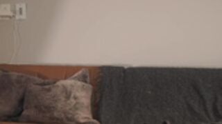 rosykindred 2025-04-03_06-58-01-001