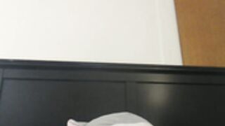 nawtymimi 2025-04-10_07-38-54