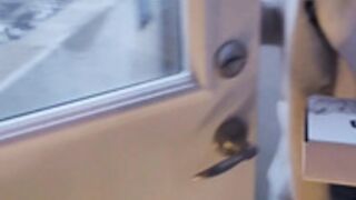 chloewildd 346