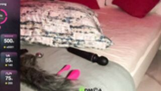 Vickyntania 14