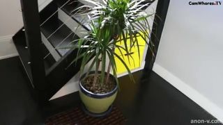 robin mae stepbrother