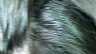 Maria Fernanda Silva Maziero Pepper Nanda