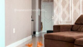 Vanessa Vailatti Vanessinha Vailatti 43