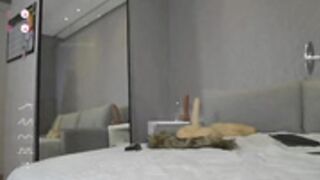 sensualica jeangreybianca 2