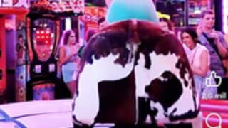Touro Mecanico