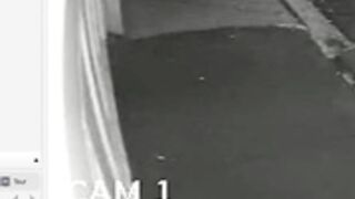 jeangreybianca  kalisa_pearl  hotel77777 3