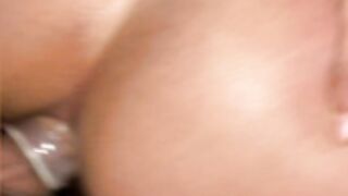 StellarBluue Stellar Bluue 5