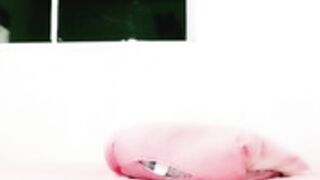 Amadora Gatinha TOP 1 2