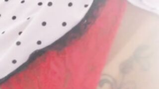 Amadora Gatinha TOP 1