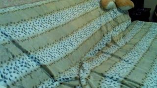 Banana_boom cam recording 2015 December 17-02.57