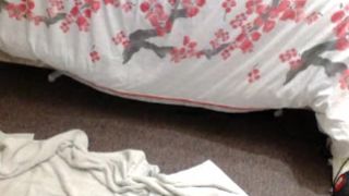 Forest_nymph 20151021