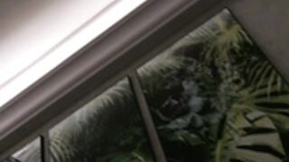 Amadoras Live Telegram Brasil 82