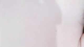 Amadoras Live Telegram Brasil 81