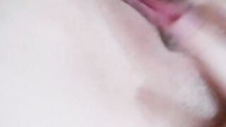 Amadoras Live Telegram Brasil 81