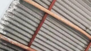 Amadoras Live Telegram Brasil 78