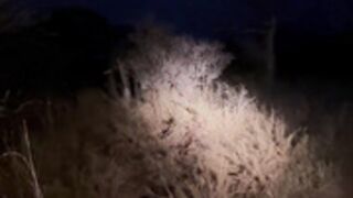 LittleAngel84 hardcore