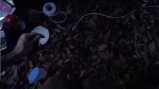 170804_peppermintpanddustyk