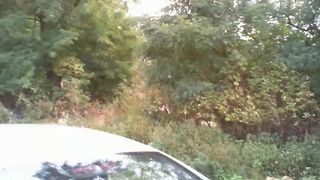 wildgabbi__27_September__2016_2