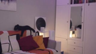 _blackbee_ 2025-04-11_13-21-57-004