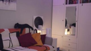 _blackbee_ 2025-04-11_13-21-57-004