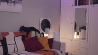 _blackbee_ 2025-04-11_13-21-57-003