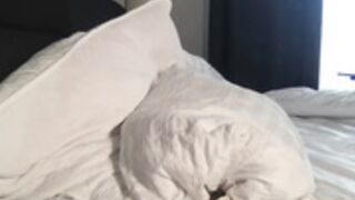 Annabisoux 03-24-25 show