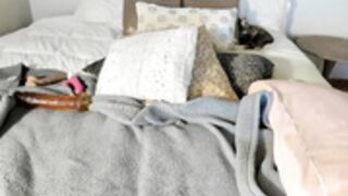 sexxylaurab 2025-04-05_05-52-48-003