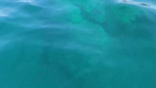 danifae-onlyfans-video-219