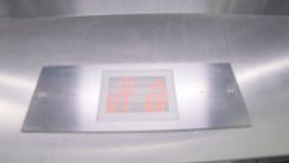 Nacre Victoire_OnF_Shorts (12)