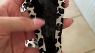 jessieandjackson onlyfans JJ--2022-12-19-Pantysniff-short-rkSCbE77