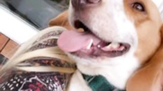 danifae-onlyfans-video-175