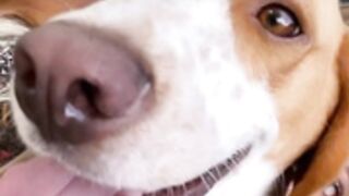 danifae-onlyfans-video-175