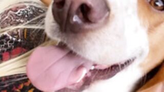 danifae-onlyfans-video-175