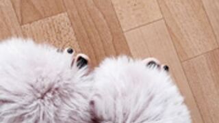 Sofi n Den - 2021-09-18