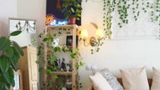 eli_sun 2025-06-04_12-00-07-002