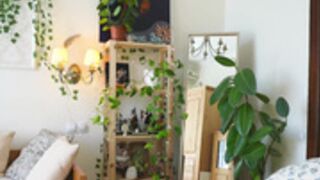 eli_sun 2025-06-04_12-00-07-001