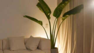 ellelure_ 2025-06-13_01-34-01-004