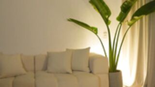 ellelure_ 2025-06-10_02-33-23-003