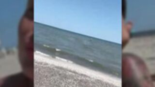 ZenaidaSasha beach show