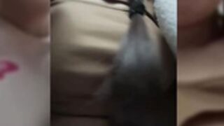 Katexxxx2 public bus flash