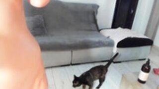 charlotte2896 2025-06-15 720p