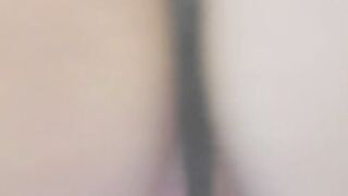 virgiin_lily [20326123]