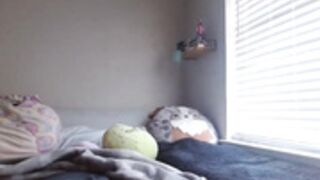 alannarack 2025-05-04_16-37-15