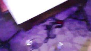 LittleViv - 2022-03-13 Part 1
