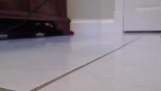 c1lv3nju1l@nn@ 01092016