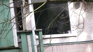 Let go to spy