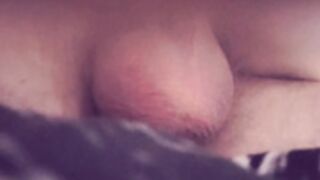 LanaBee 7
